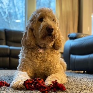 Meet your Posher, Debbie